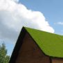 Miniaturka Nature Playhouse Grass Roof (4)