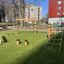 Obstacle course v prostoru hřiště s lanovými sítěmi a lezeckými konstrukcemi.