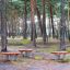 Wooden Balance Board venkovní herní prvek s dřevěnými vršky a kovovými pružinami