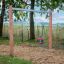 Nature Double Swing v prostředí parku