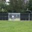 Stamford Bridge sportovní hřiště s lidmi hrajícími fotbal a basketbal venku.
